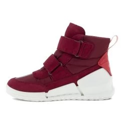 Boutique Fashion Shoe Store -Boutique Fashion Shoe Store ecco kids biom k1 ii 22a eco 711762 mormorchired 4